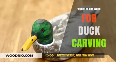Best Places to Buy Quality Wood for Duck Carving Projects