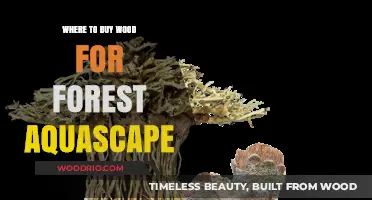 Best Sources for Quality Wood to Enhance Your Forest Aquascape