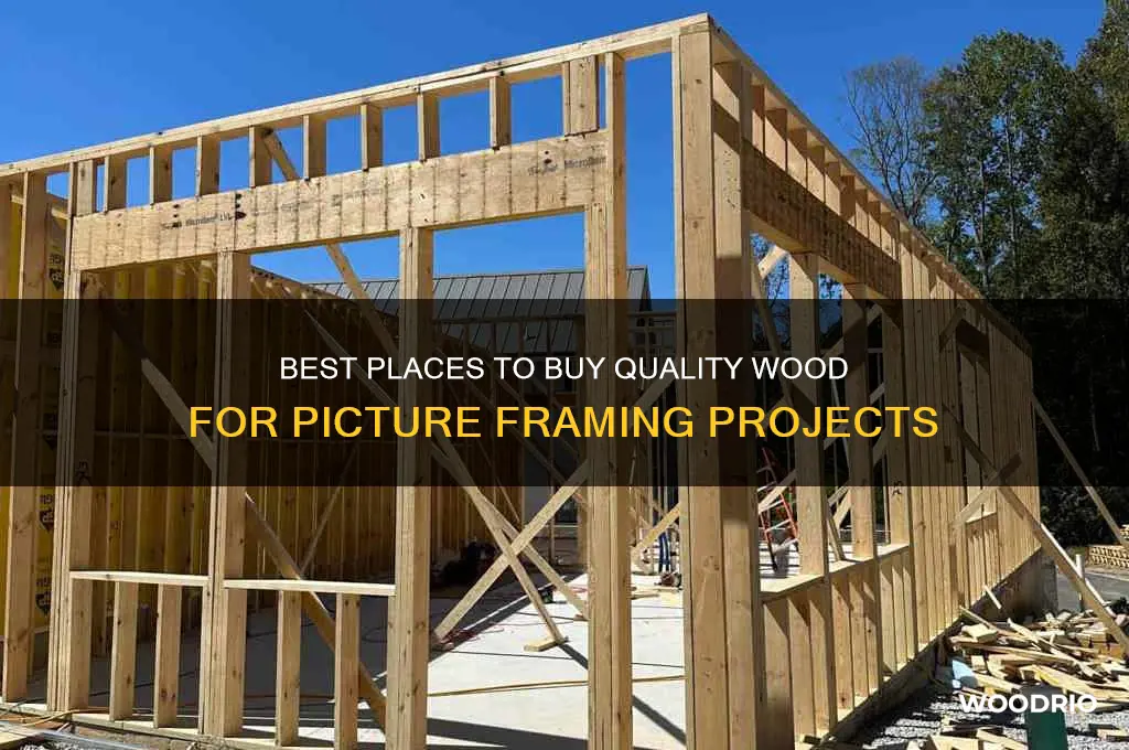 where to buy wood for framing