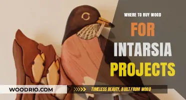 Best Places to Buy Quality Wood for Intarsia Projects