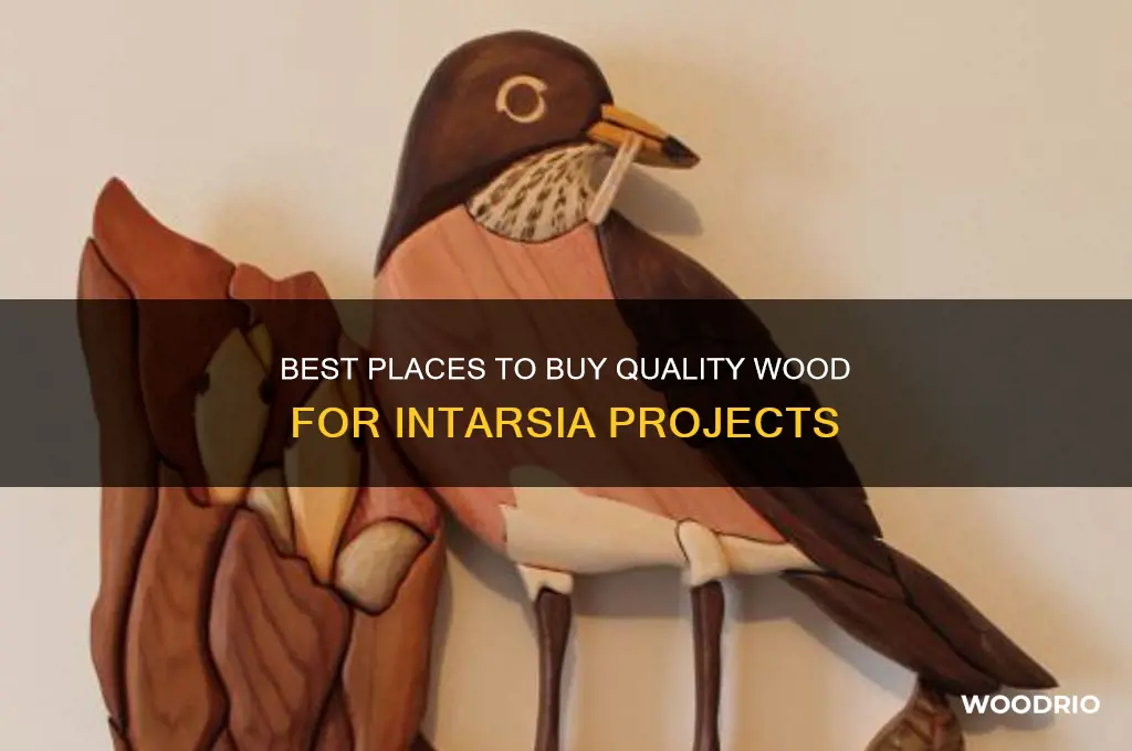 where to buy wood for intarsia projects