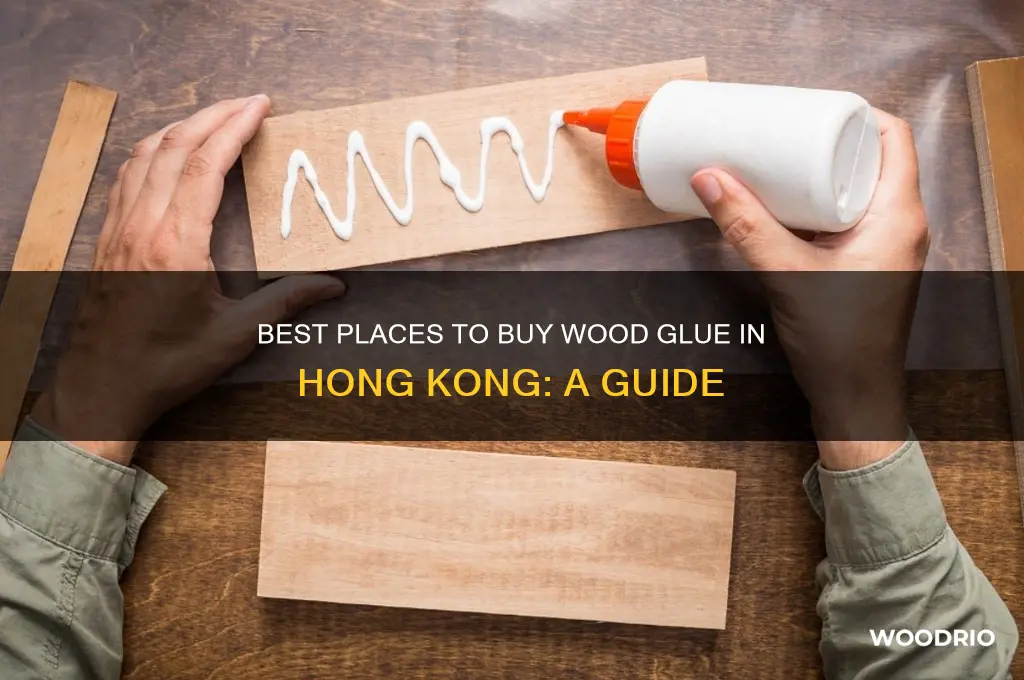 where to buy wood glue in hong kong