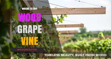 Best Places to Purchase Wood Grape Vines for Your Garden