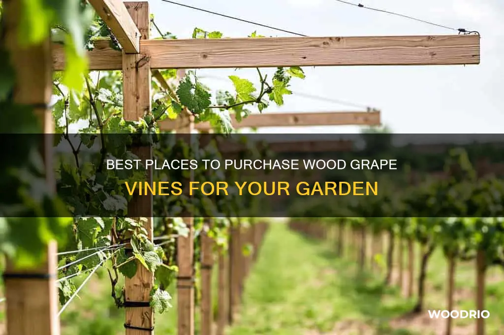 where to buy wood grape vine
