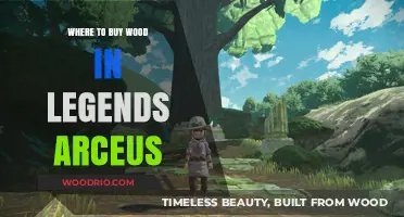 Best Locations to Purchase Wood in Pokémon Legends: Arceus