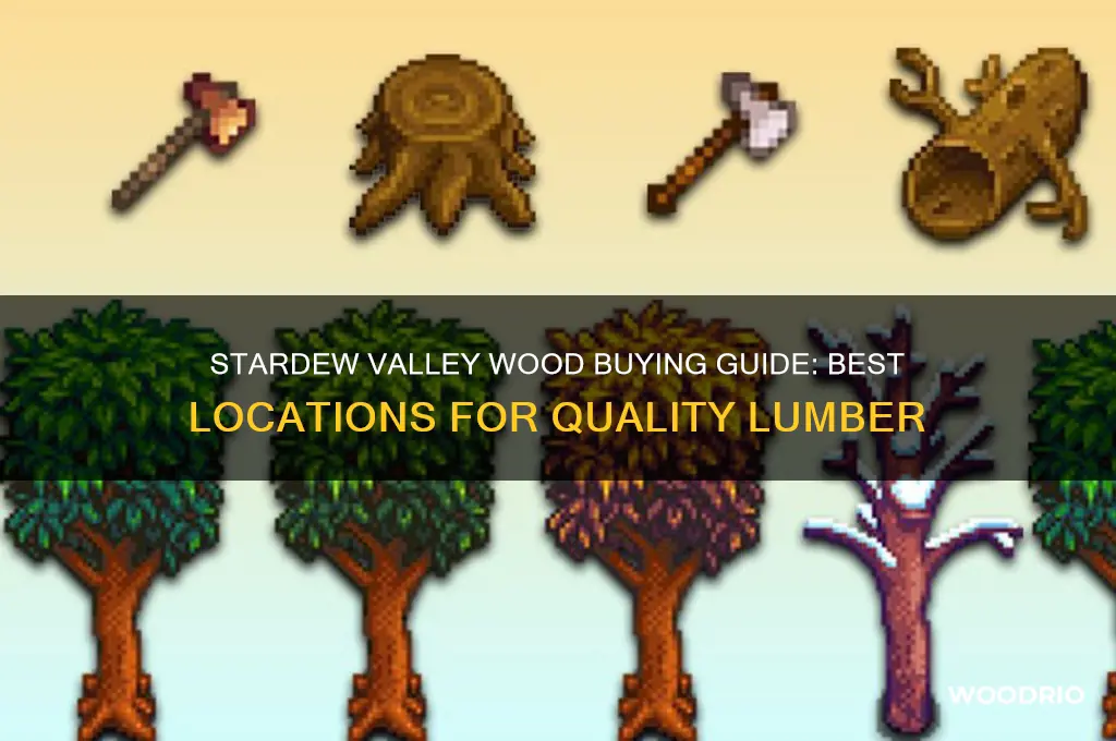 where to buy wood in stardew