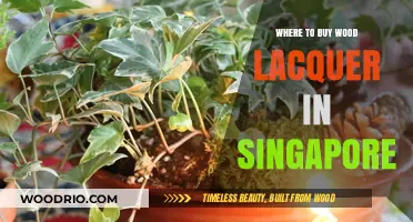 Best Places to Buy Wood Lacquer in Singapore: A Comprehensive Guide
