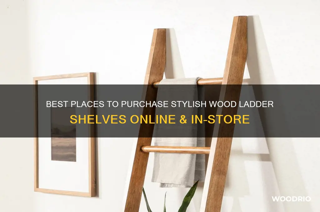 where to buy wood ladder shelf