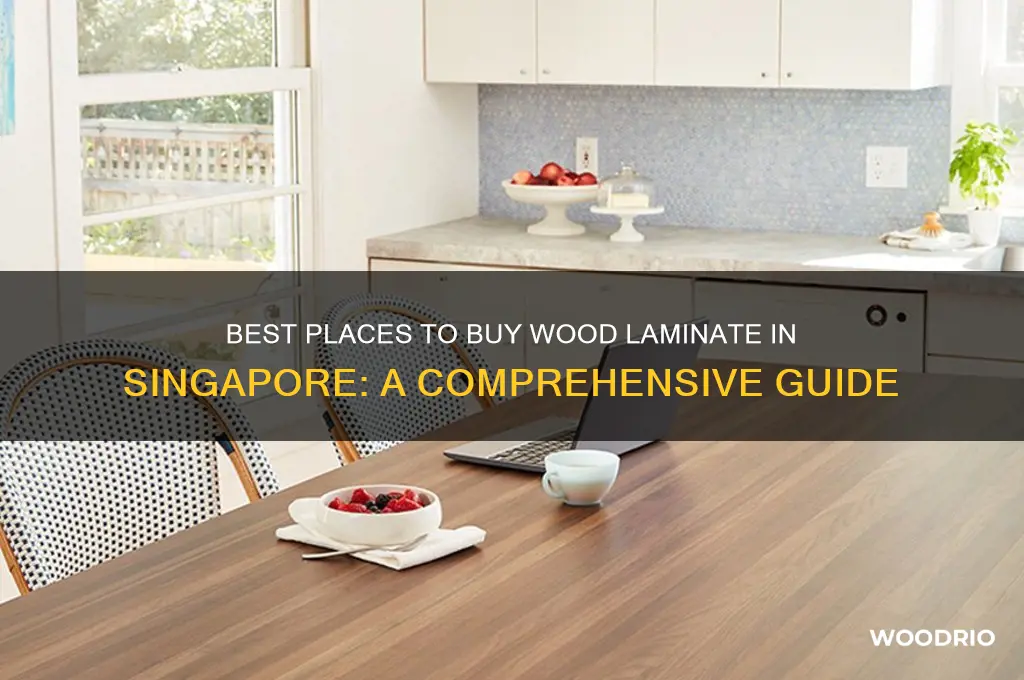 where to buy wood laminate in singapore