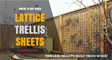 Best Places to Purchase Wood Lattice Trellis Sheets for Your Garden