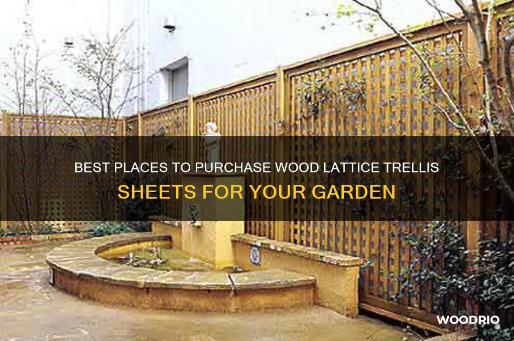 where to buy wood lattice trellis sheets
