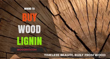 Where to Buy Wood Lignin: Top Suppliers and Purchasing Tips
