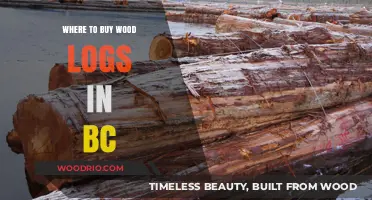 Best Places to Buy Quality Wood Logs in British Columbia