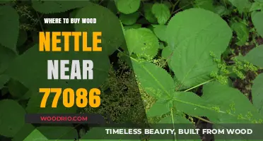 Discover Wood Nettle Suppliers Near 77086: Your Ultimate Guide
