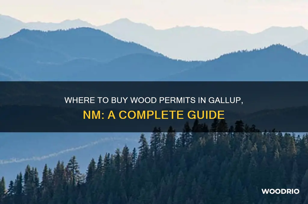 where to buy wood permits gallup nm