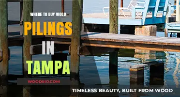Top Spots to Purchase Wood Pilings in Tampa, Florida