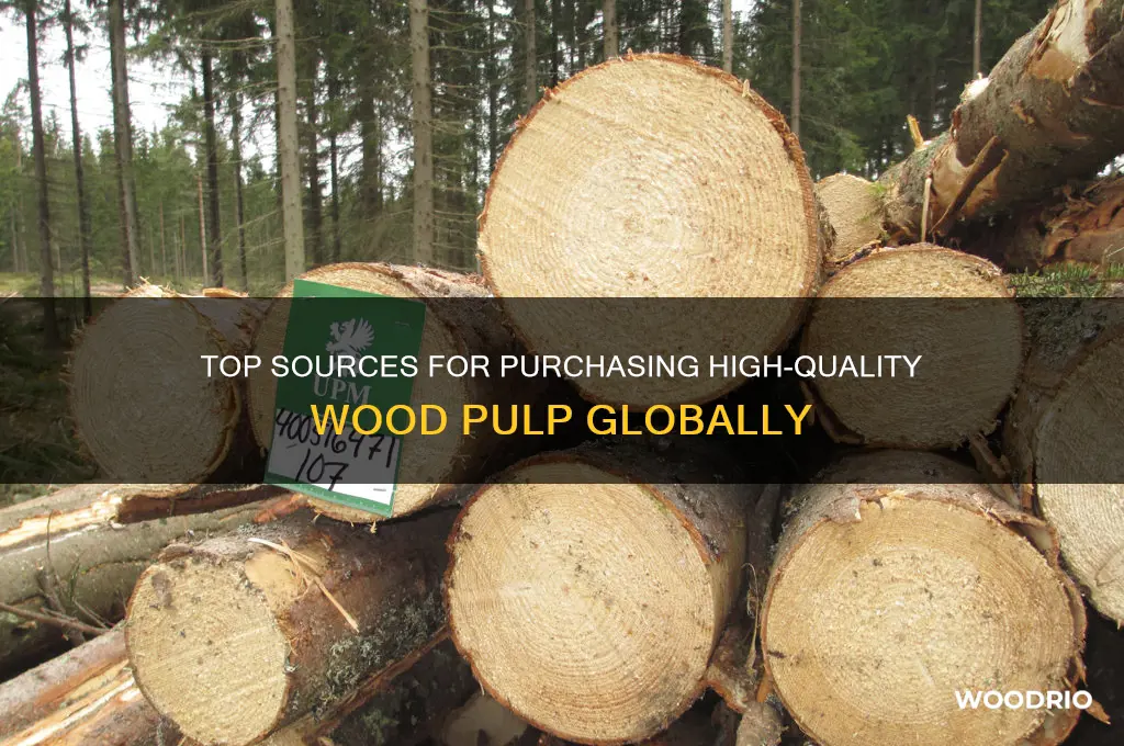 where to buy wood pulp