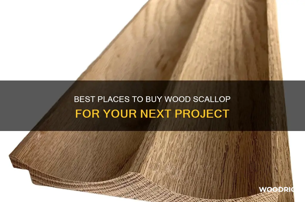 where to buy wood scallop
