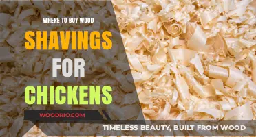 Best Places to Buy Wood Shavings for Your Chicken Coop