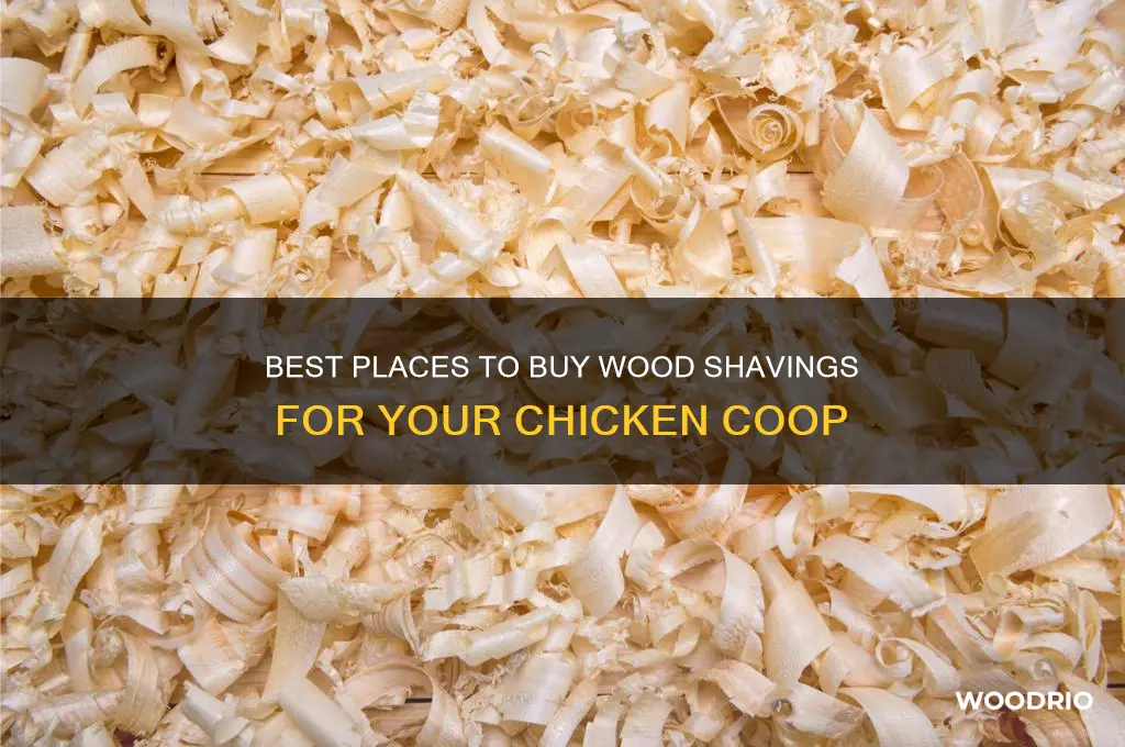 where to buy wood shavings for chickens