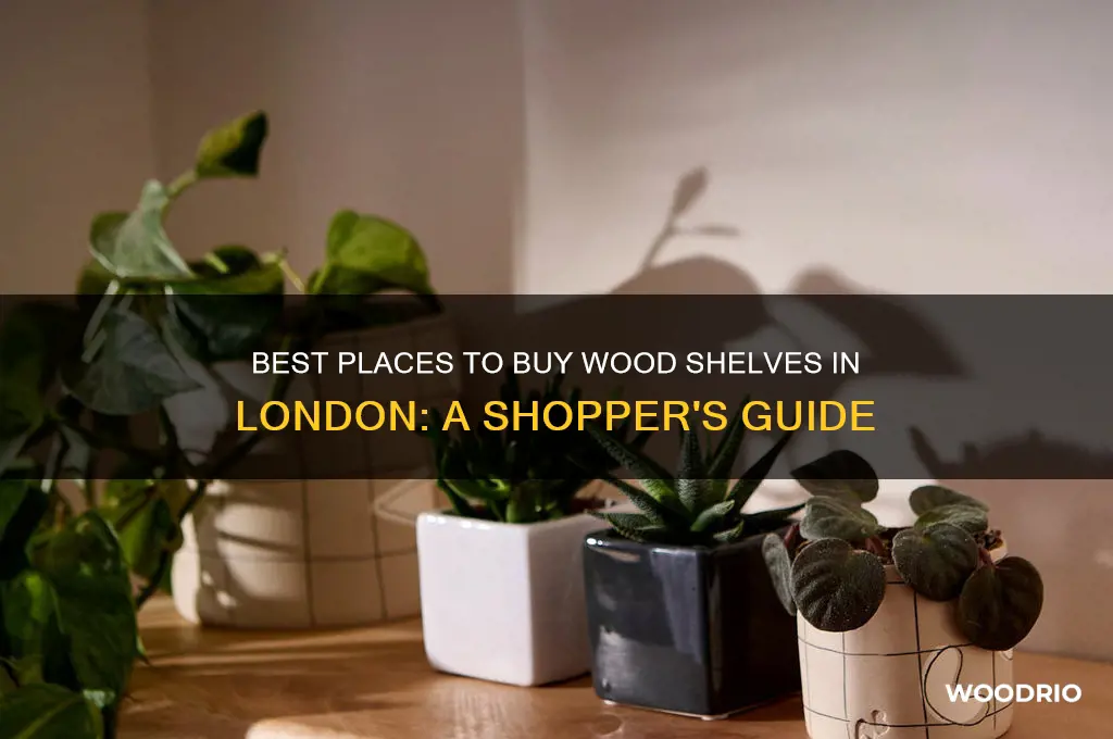 where to buy wood shelves in london