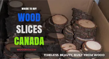 Best Places to Buy Wood Slices in Canada: A Comprehensive Guide