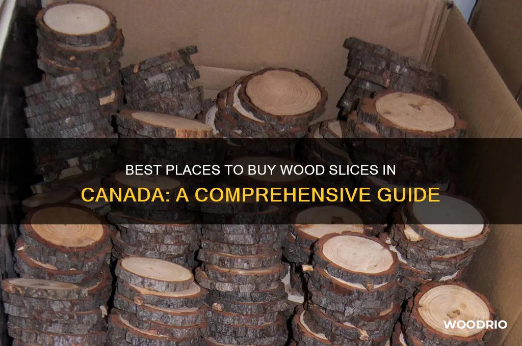 where to buy wood slices canada