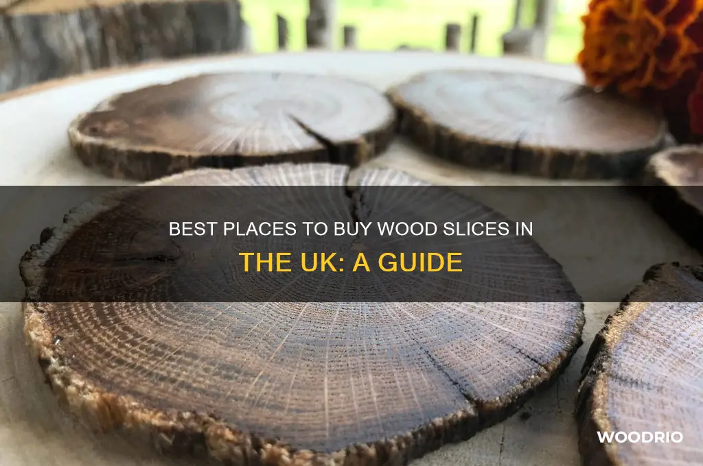 where to buy wood slices uk
