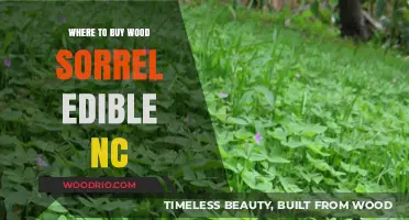 Discover Edible Wood Sorrel in NC: Top Local Sources to Buy