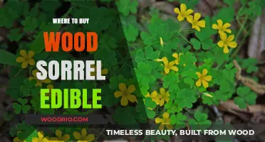 Discover the Best Places to Buy Edible Wood Sorrel Today