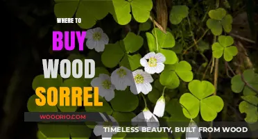 Discover the Best Places to Buy Wood Sorrel Online and Locally