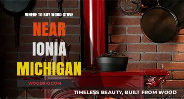 Top Wood Stove Retailers Near Ionia, Michigan: Your Ultimate Guide