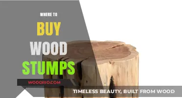 Discover the Best Places to Buy Wood Stumps Online and Locally