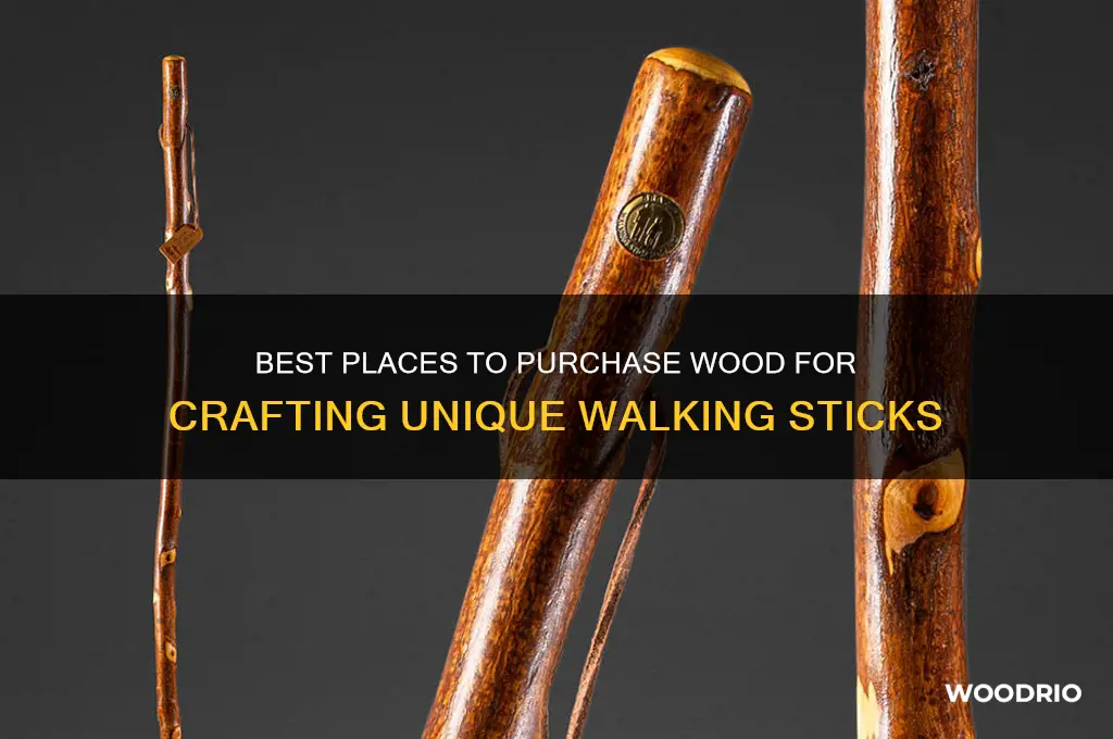 where to buy wood to make walking sticks