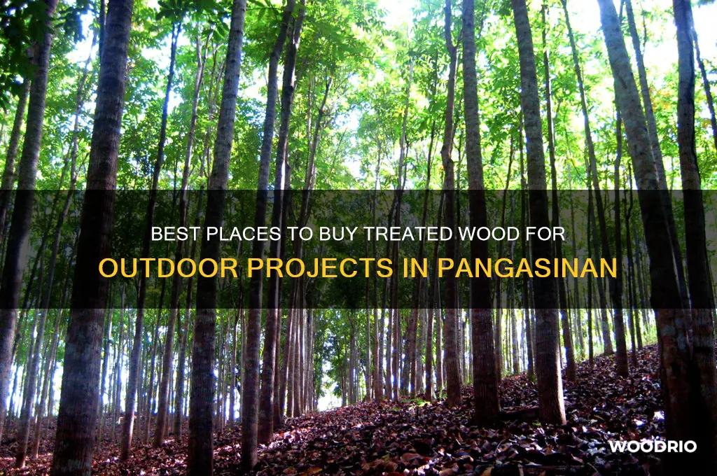 where to buy wood treated for outdoor pangasinan