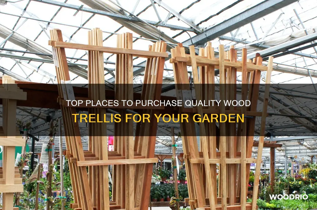 where to buy wood trellis