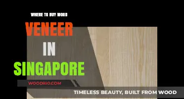 Top Wood Veneer Suppliers in Singapore: Where to Buy Quality Options