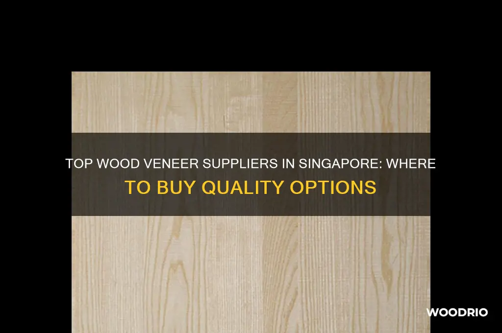 where to buy wood veneer in singapore