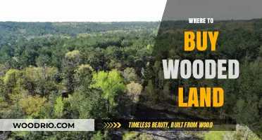 Discover the Best Places to Buy Wooded Land for Sale