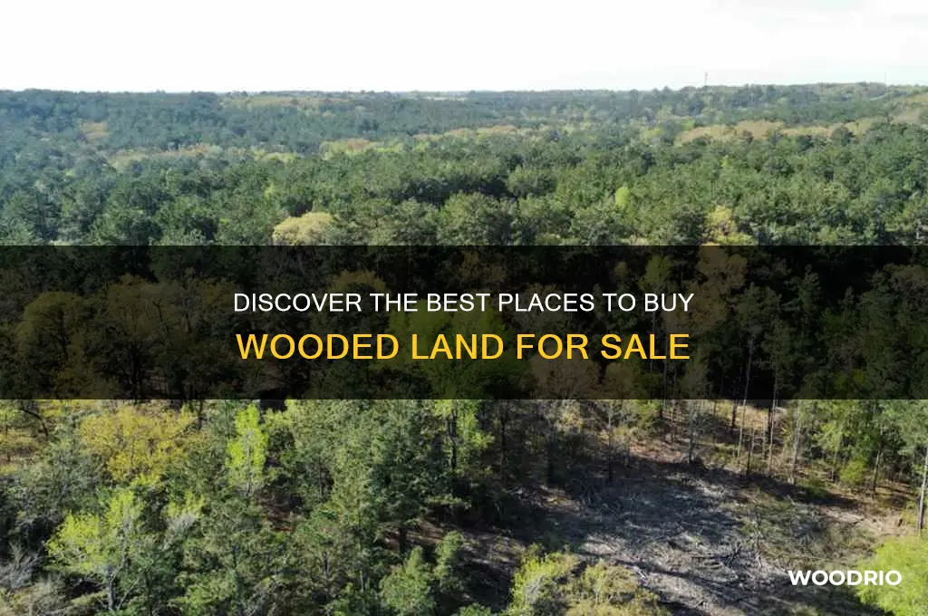where to buy wooded land