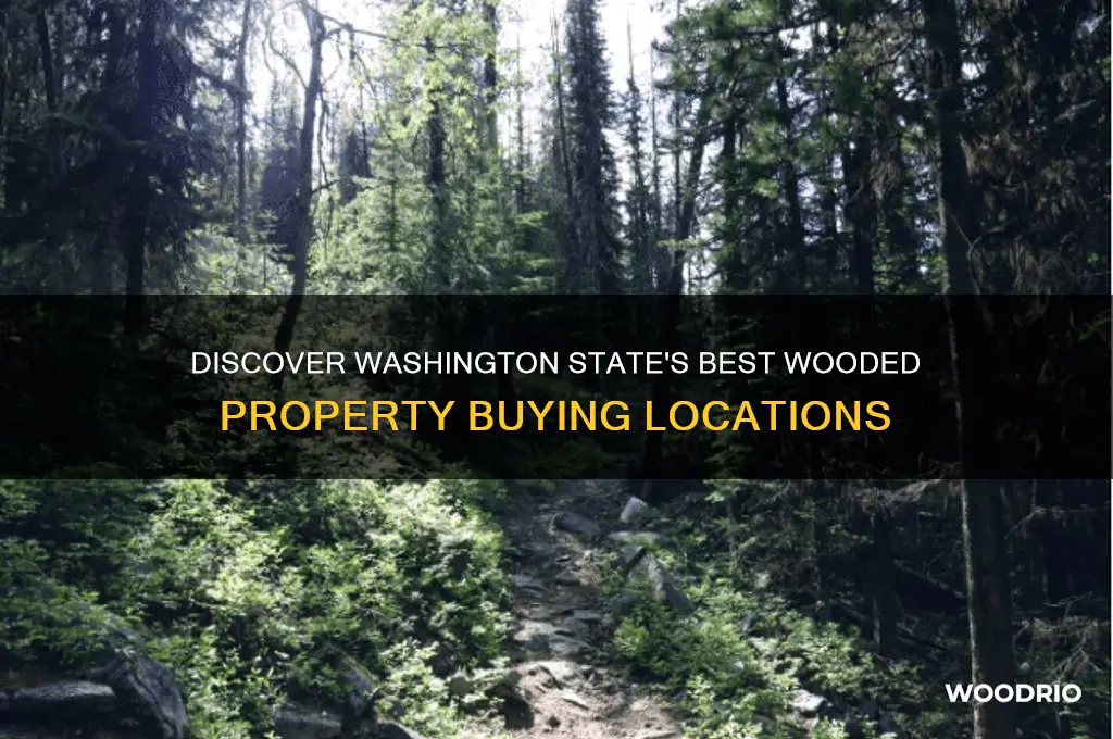 where to buy wooded property in washington state
