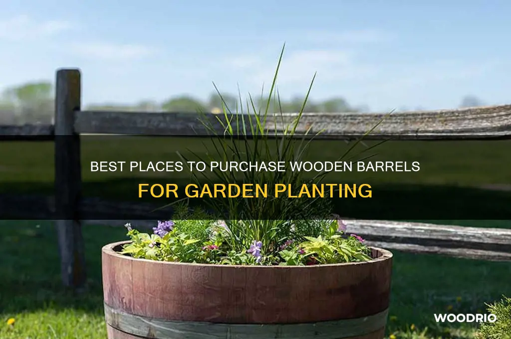 where to buy wooden barrels for planting