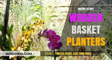 Best Places to Purchase Wooden Basket Planters for Your Garden