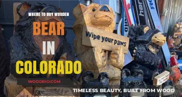 Discover Unique Wooden Bears: Top Colorado Shops and Artisans