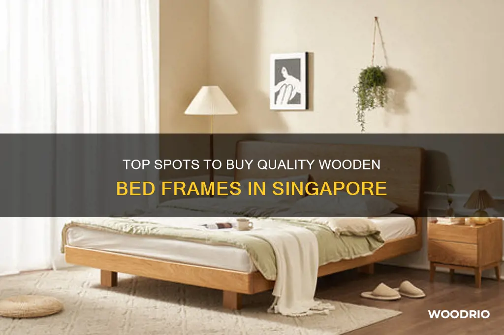 where to buy wooden bed frame in singapore