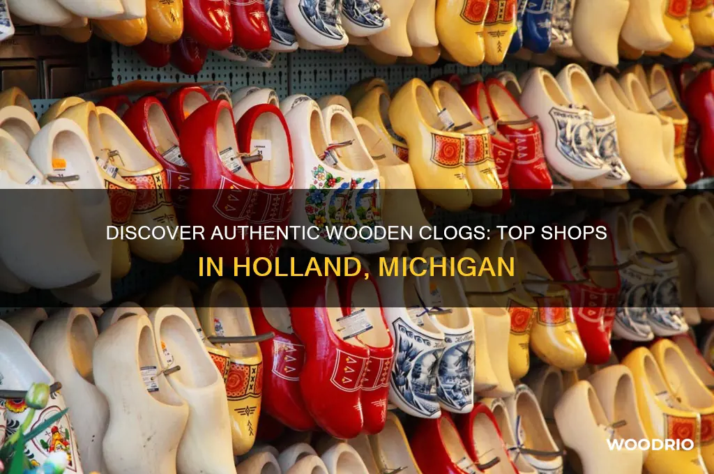 where to buy wooden clogs in holland mi