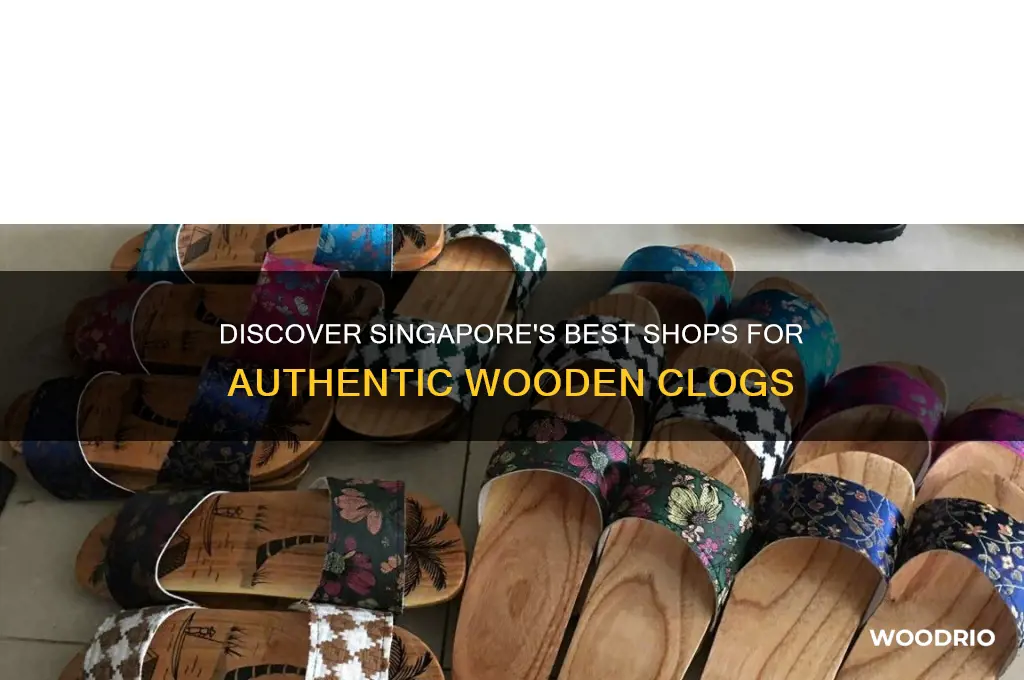 where to buy wooden clogs in singapore