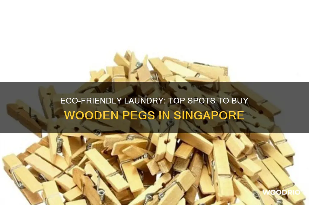 where to buy wooden clothes pegs in singapore