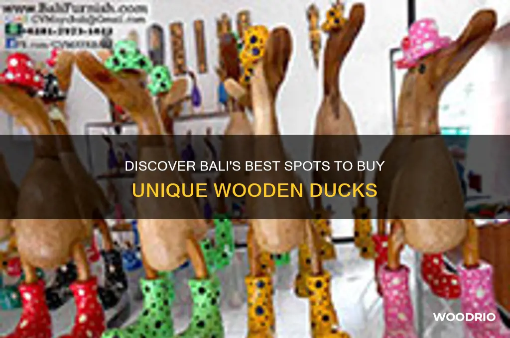 where to buy wooden ducks in bali