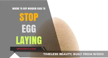 Wooden Eggs: A Humane Solution to Stop Egg Laying – Where to Buy